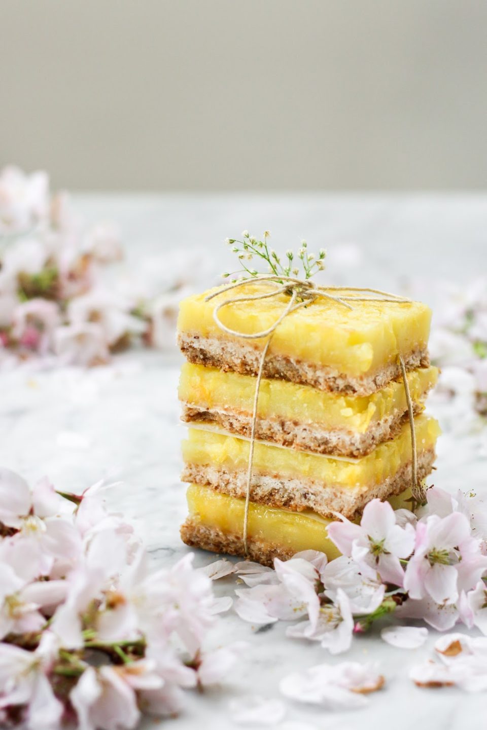 Dairy Free Coconut Lemon Bars