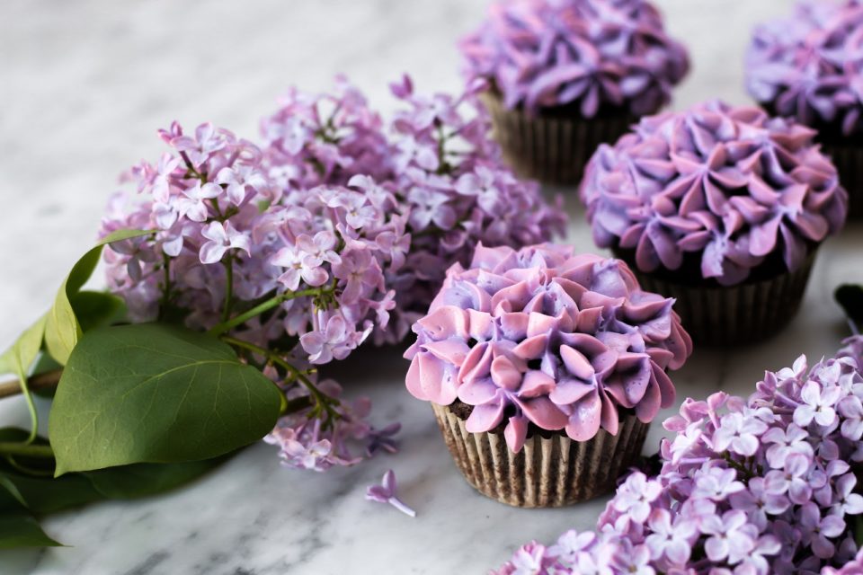 Giant Chocolate Cupcake - The Cookie Writer