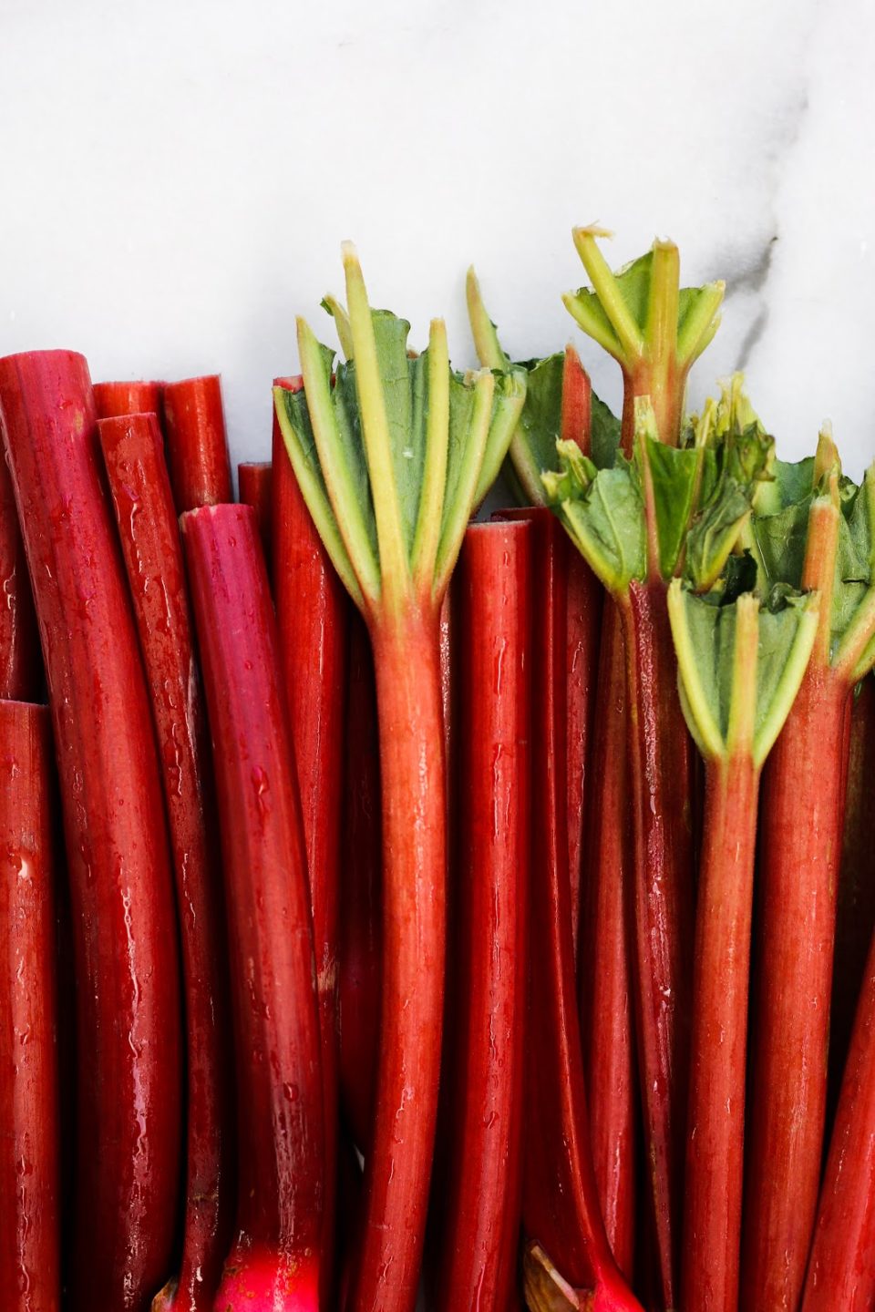 rhubarb stalks