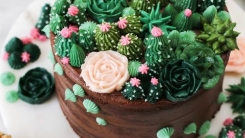 Cactus Customised Cake . Dm or WhatsApp us to book yours now 📞 💬 . . . .  . #kidsthemecake #luxurycakesinjalandhar #jalandhar💚 ... | Instagram