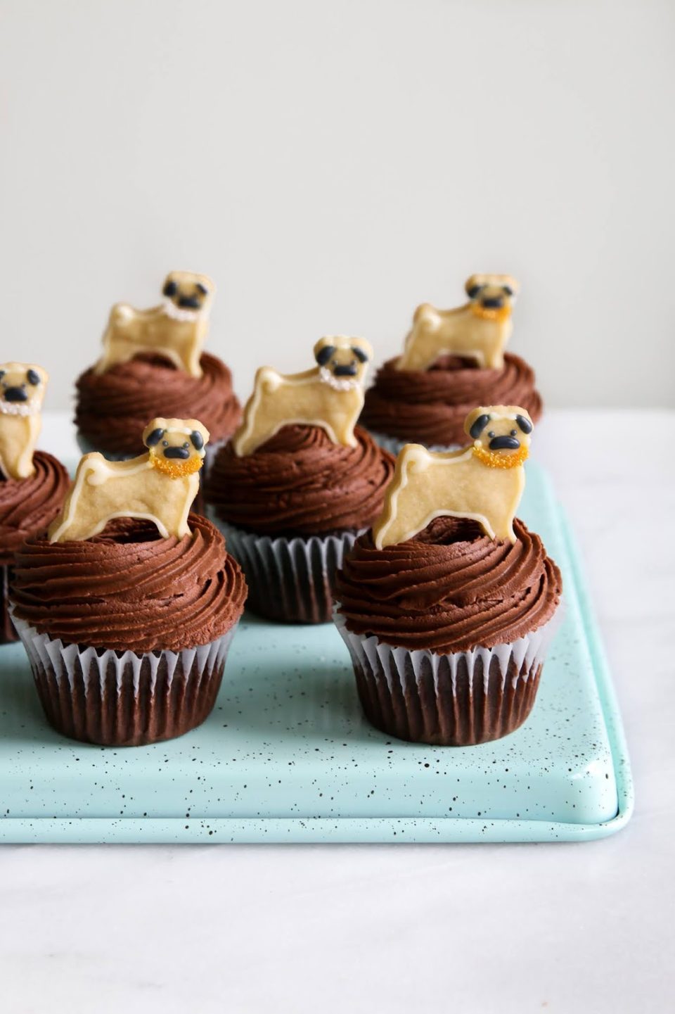 Mocha Dark Chocolate Ganache Cupcakes with Pug Cookies Constellation Inspiration