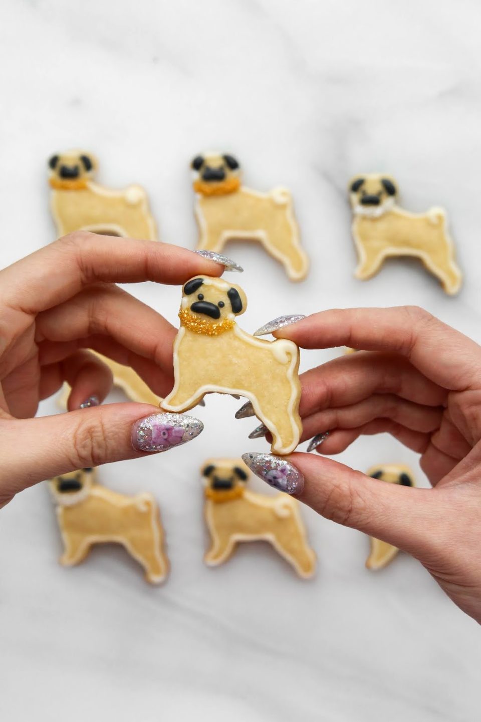 pug biscuits