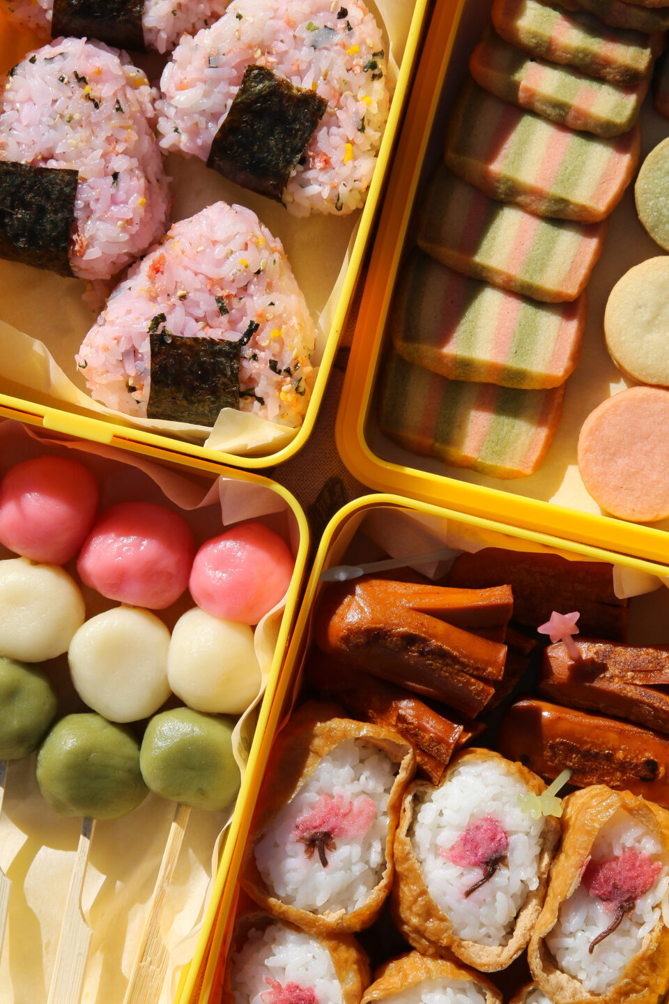 Japanese Sakura Bento Box | Hakoya